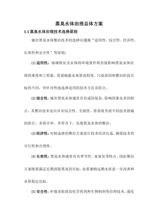 黑臭水体治理方案.doc