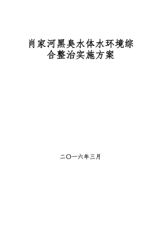 肖家河黑臭水体整治实施方案.docx