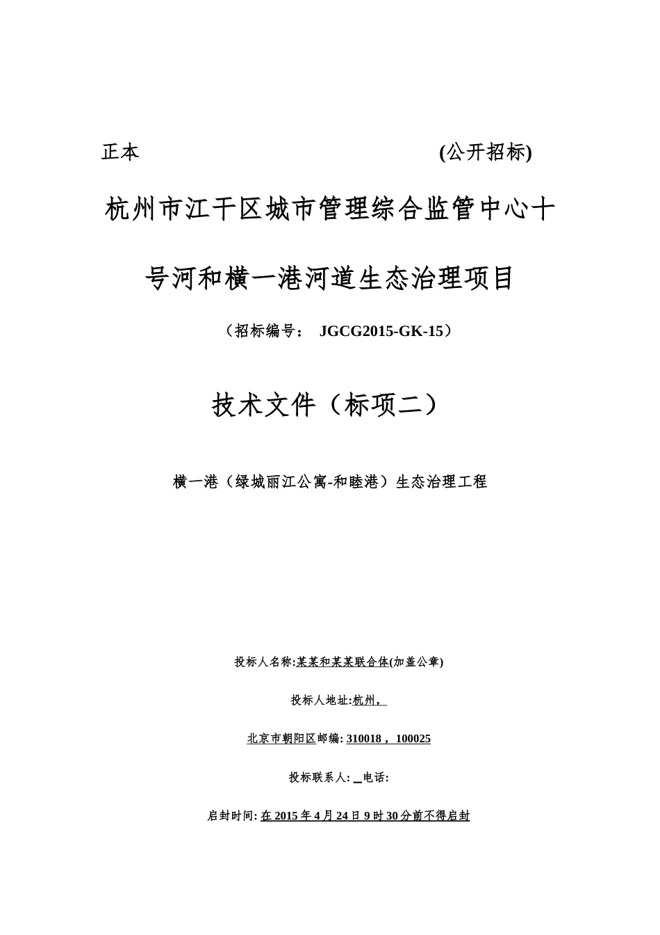 中心十号河治理技术方案.docx_第1页