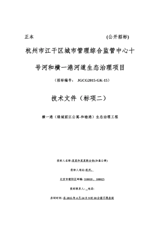 中心十号河治理技术方案.docx