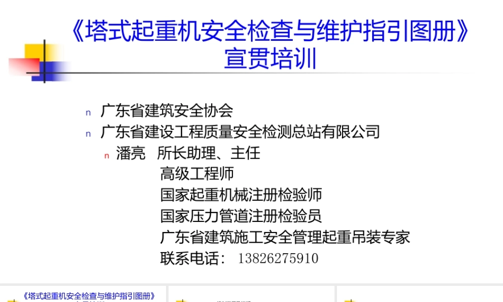 广东省《塔式起重机安全检查与维护指引图册》培训100页2024年.pptx