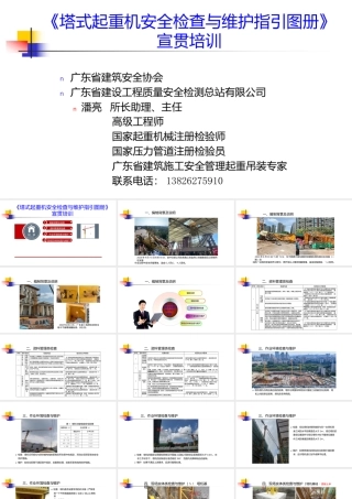 广东省《塔式起重机安全检查与维护指引图册》培训100页2024年.pptx