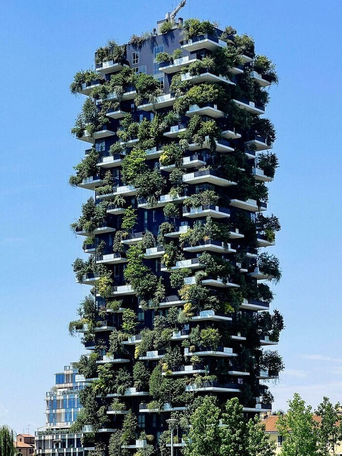 50个建筑师超常发