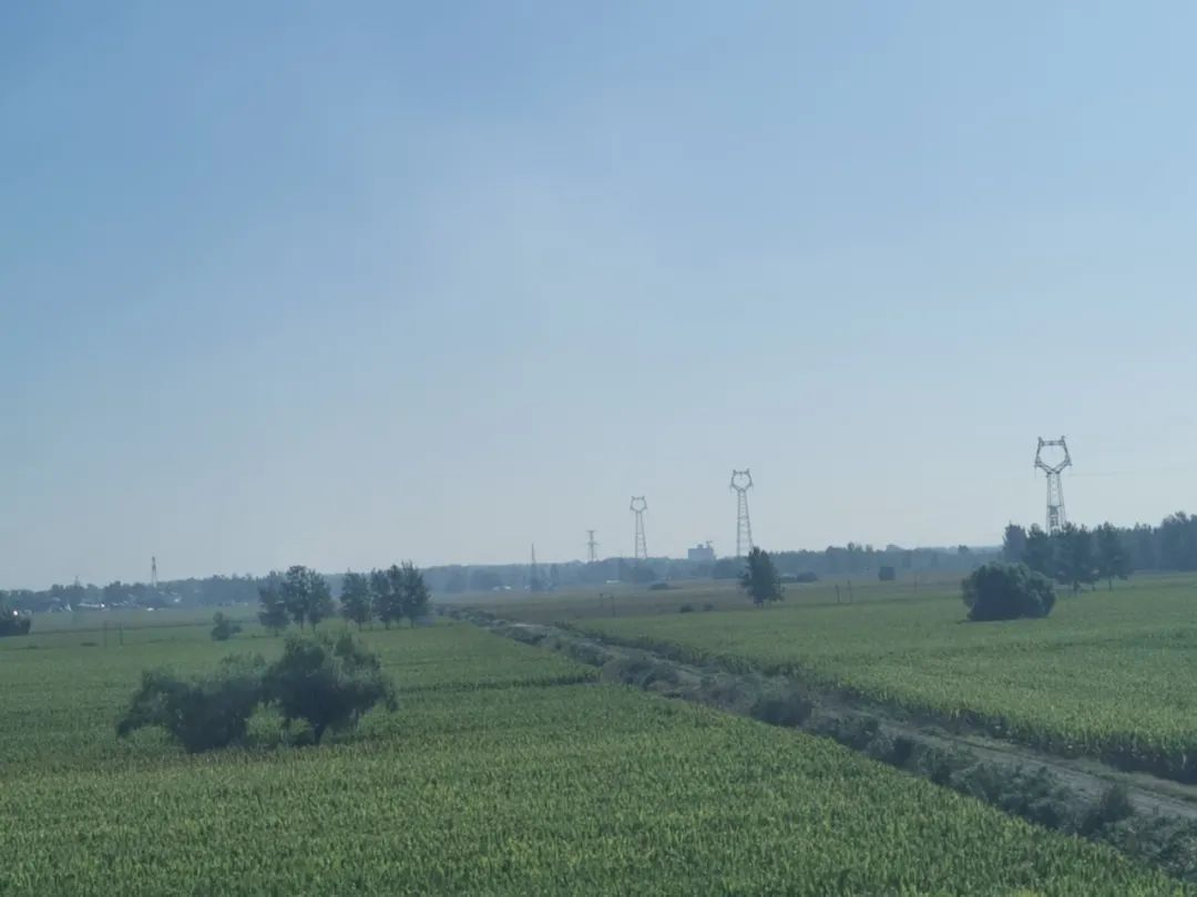 新时代地籍调查新规解读:从土地管理到不动产登记,全面覆盖自然资源