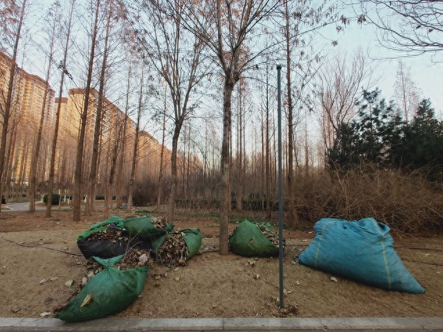 园林绿化废弃物如何变废为宝？科学处理全流程解析，轻松实现环保再利用