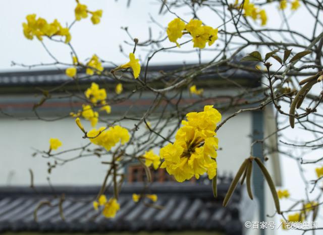 保温工程关键流程解析：施工准备、工艺要点与质量控制