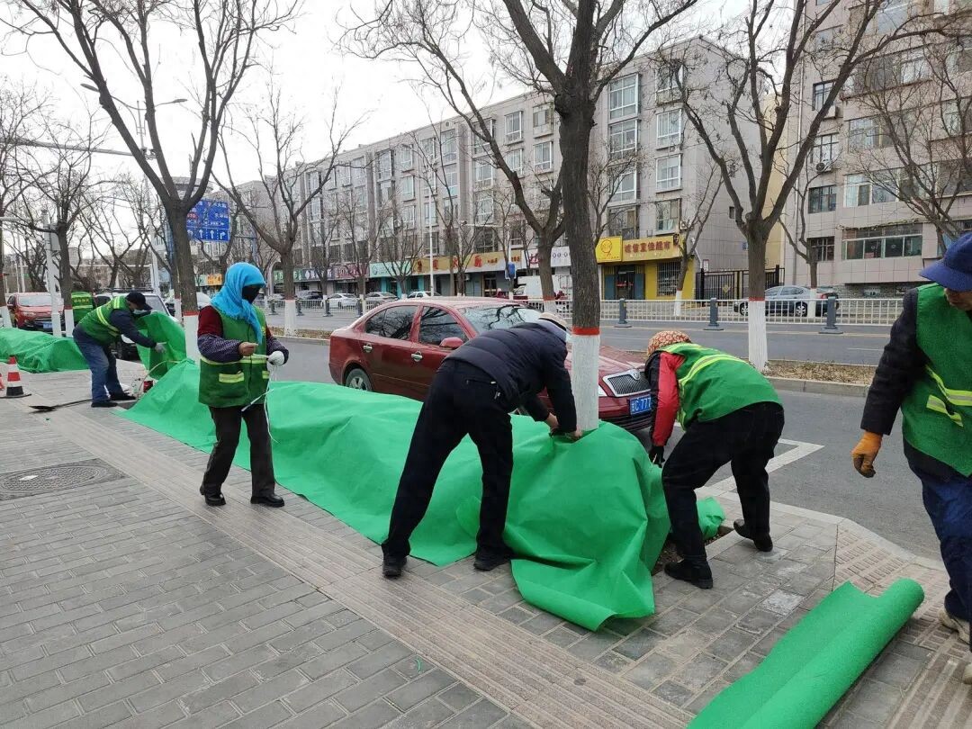 园林绿化冬季怎么防寒？看看这些给树木穿冬衣的妙招