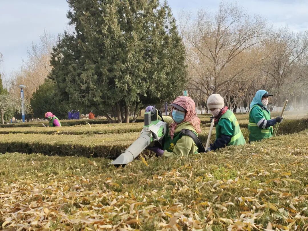 园林绿化冬季怎么防寒？看看这些给树木穿冬衣的妙招