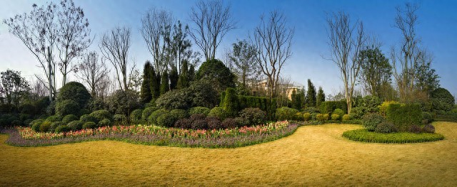 园林绿化废弃物咋处理？这份科学环保指南教你变废为宝