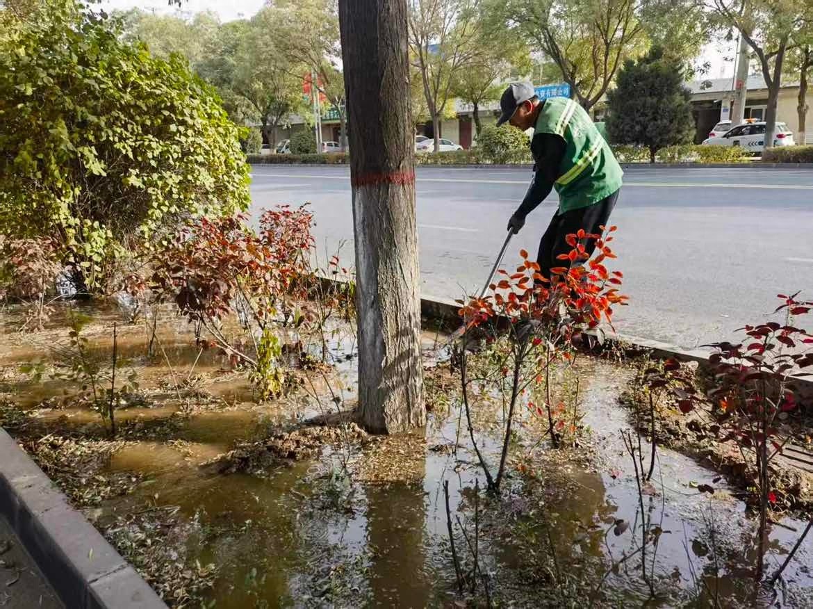 甘州区城管局园林绿化中心三项措施扎实推进绿地养护工作