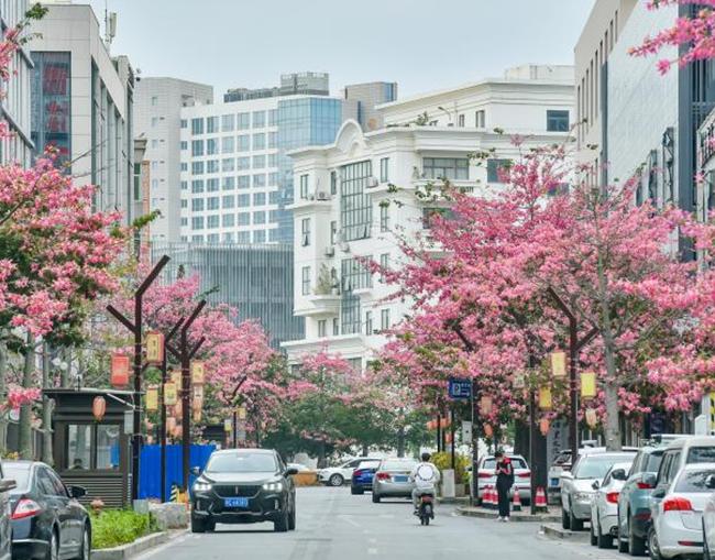 县城如何做好园林绿化？福建晋江GDP增长13倍的成功秘诀