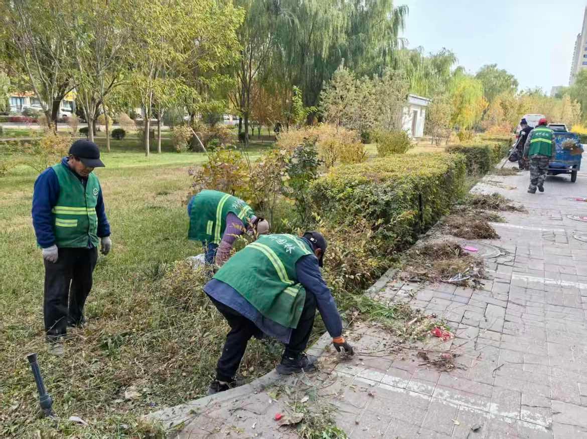 甘州区城管局园林绿化中心三项措施扎实推进绿地养护工作