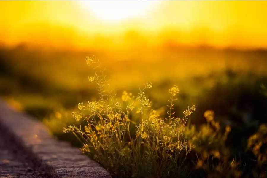 全球首条智慧高速公路：车路协同带来的全新出行体验