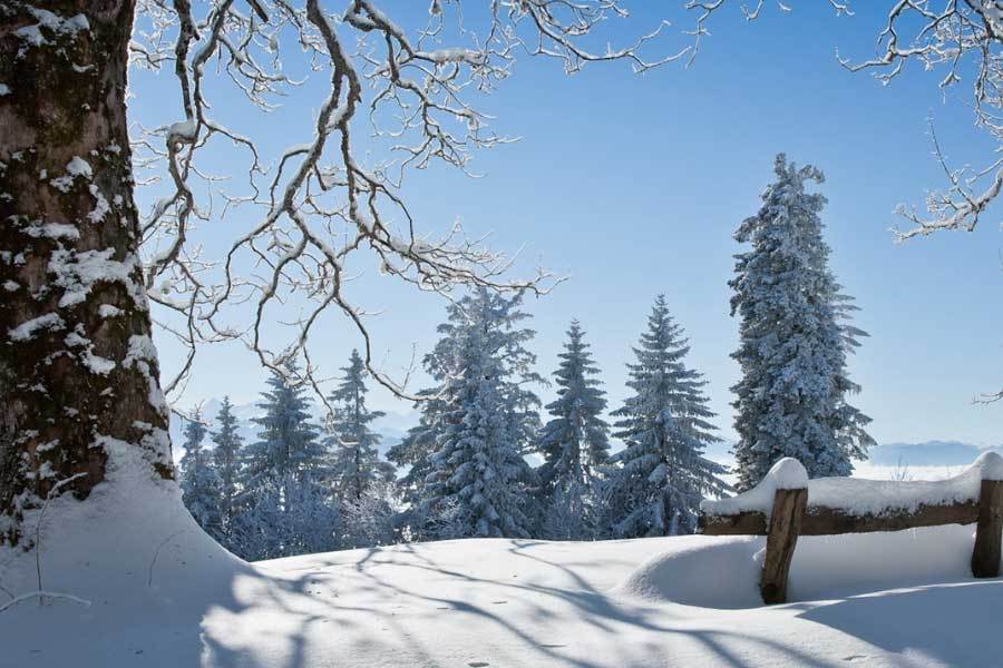 全球首条智慧高速公路：车路协同带来的全新出行体验