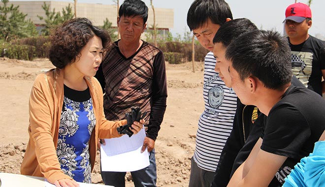 乌兰察布从‘飞沙走砾’到‘满目翠绿’，她功不可没