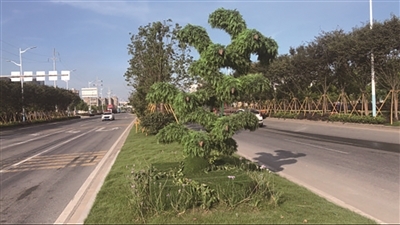 经开区植树添绿，公园美景渐显，打造园林式工业园区