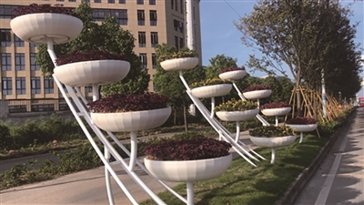 经开区植树添绿，公园美景渐显，打造园林式工业园区