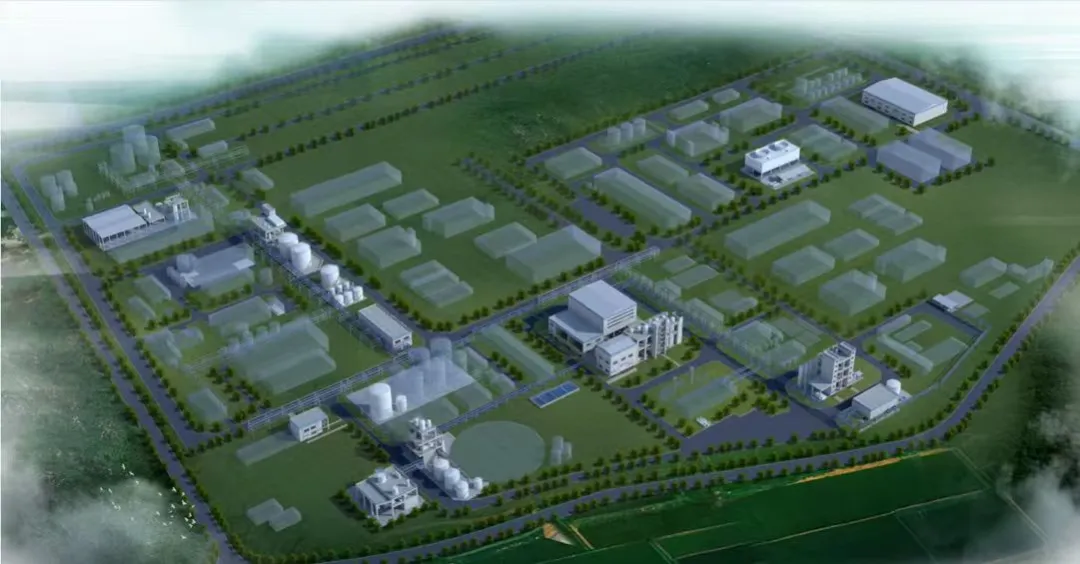 来源：澎湃·澎湃·政务