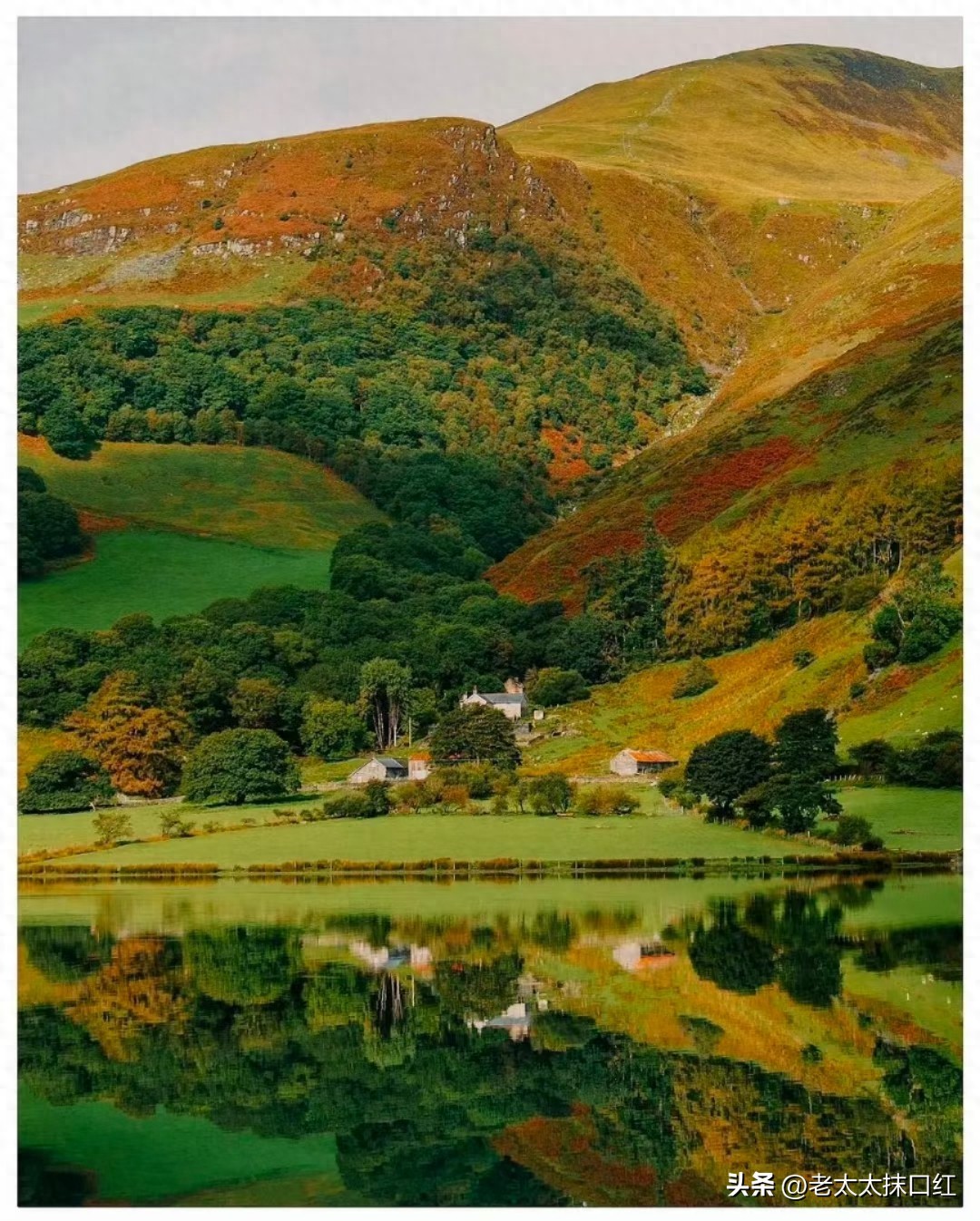 装饰装修工程折价或拍卖条件及承包人优先受偿权相关裁判观点