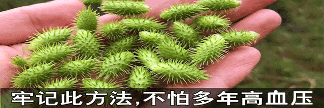 房屋安全鉴定评级遇挑战，标准、技术、数据、意识待提升