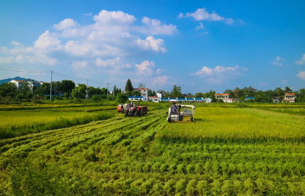 数字乡村建设：科技赋能农业、教育、医疗，助力农村发展
