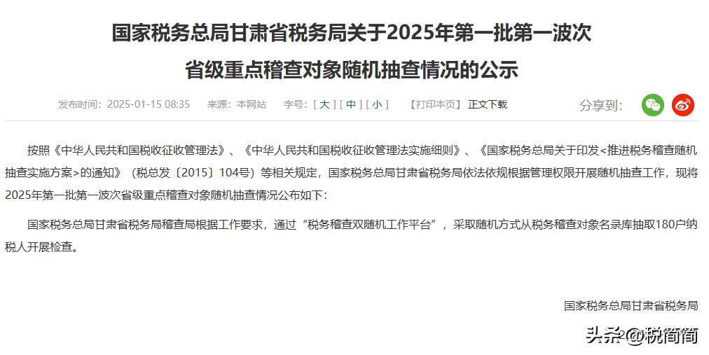 2024-2025年度税务双随机抽查情况及2025年抽查范围