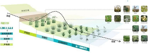 奥雅设计:碳中和咨询,含低碳政策研究与碳排放数据预测等