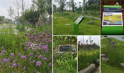 奥雅设计:碳中和咨询,含低碳政策研究与碳排放数据预测等