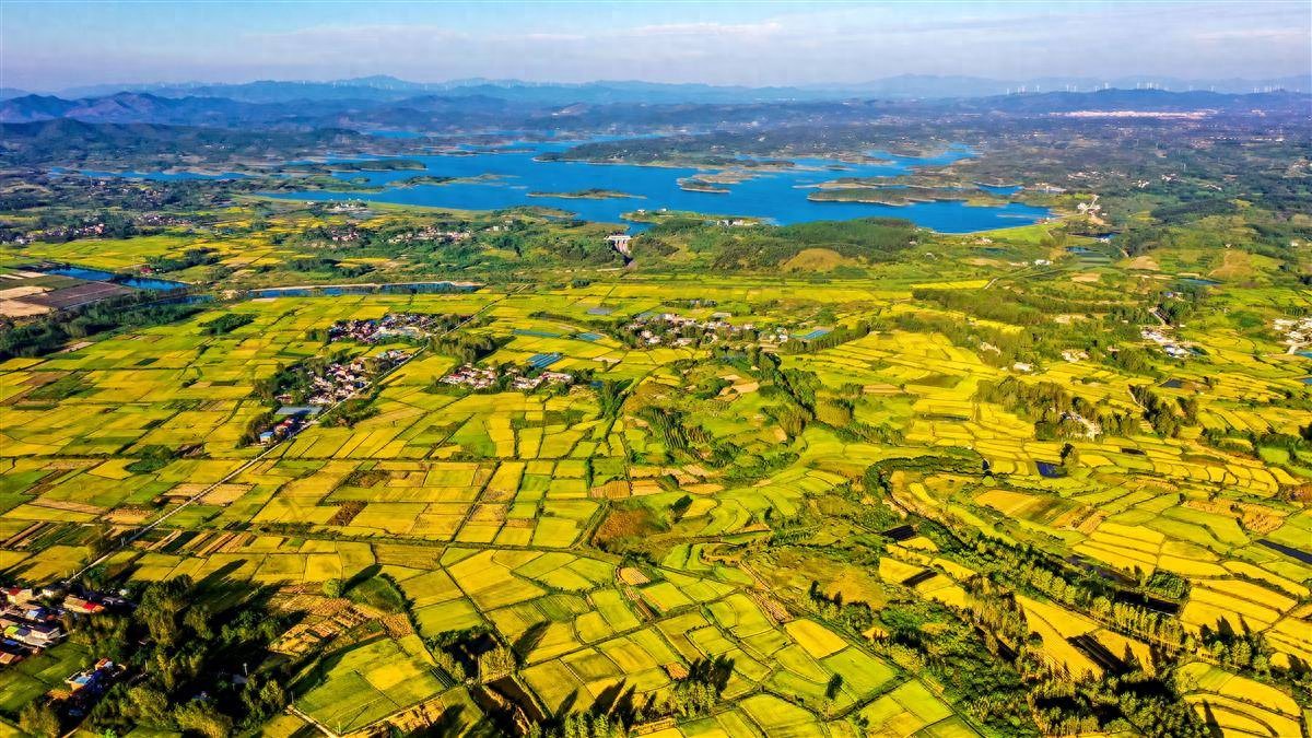 把握城乡发展规律，写好‘十五五’时期城乡融合发展文章