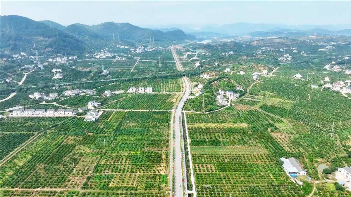 把握城乡发展规律，写好‘十五五’时期城乡融合发展文章