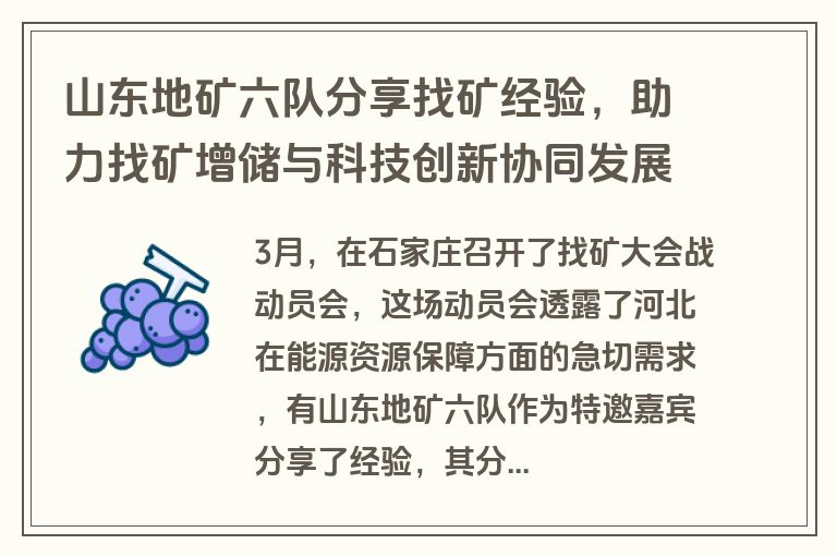 山东地矿六队分享找矿经验，助力找矿增储与科技创新协同发展