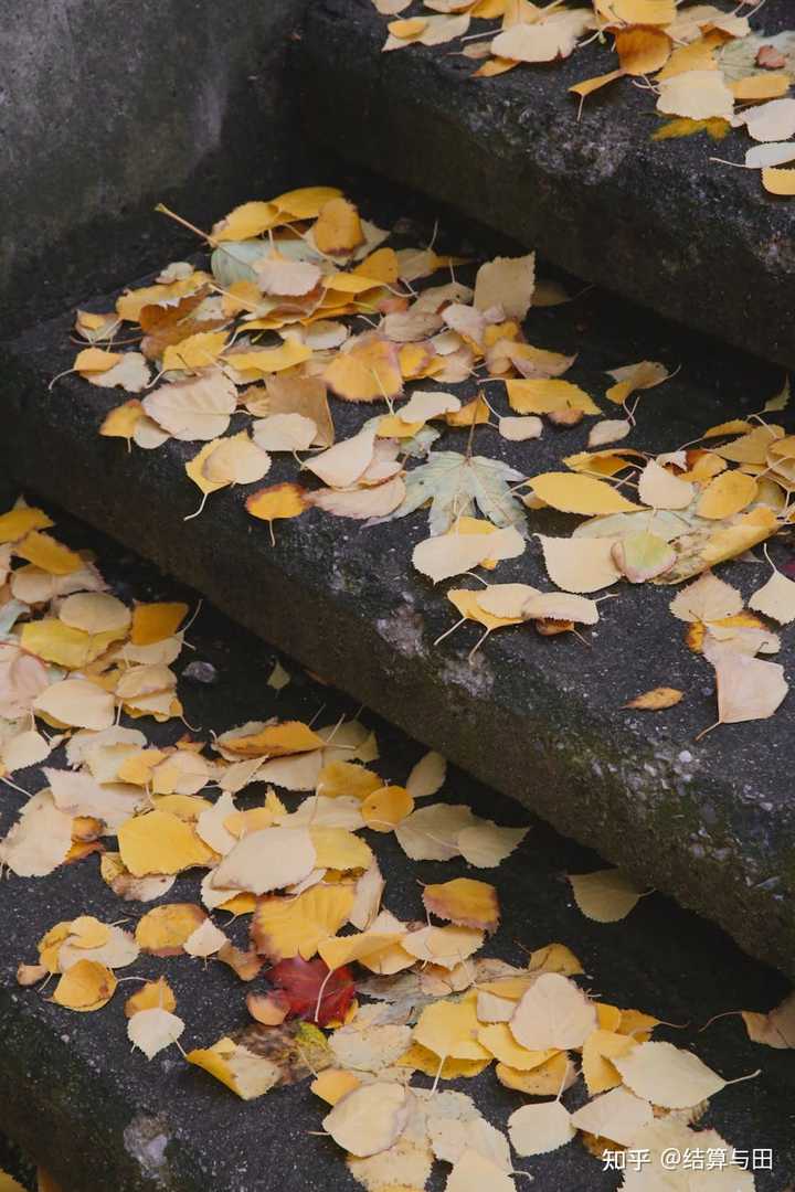 竣工结算:竣工图与施工图结算争议及常见问题解析