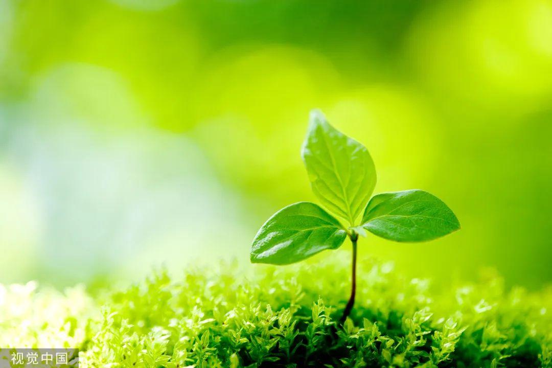 探秘碳中和：湖南地质展教你生活中的低碳知识