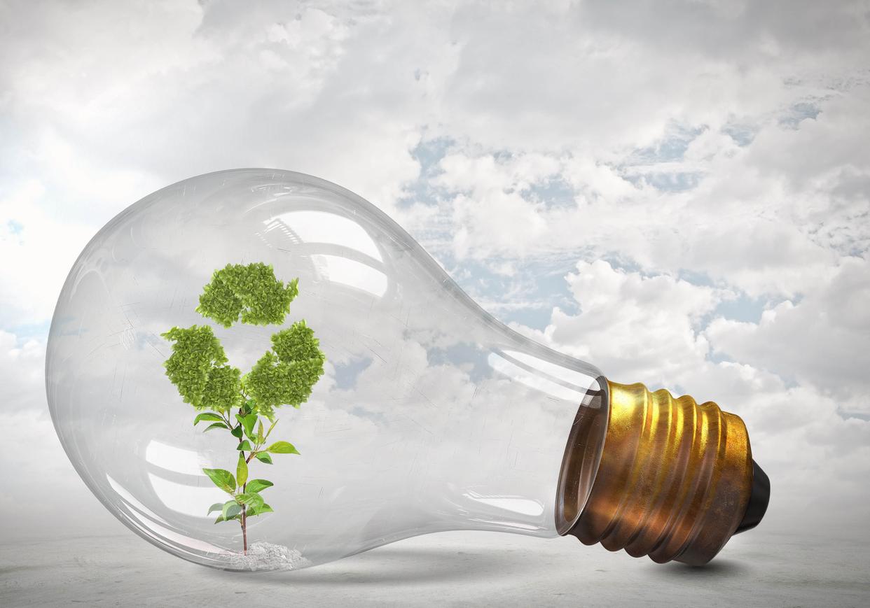 碳中和成全球趋势 我国明确双碳目标企业需发挥带头作用