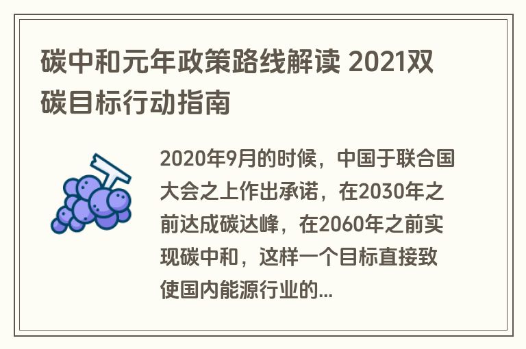 碳中和元年政策路线解读 2021双碳目标行动指南