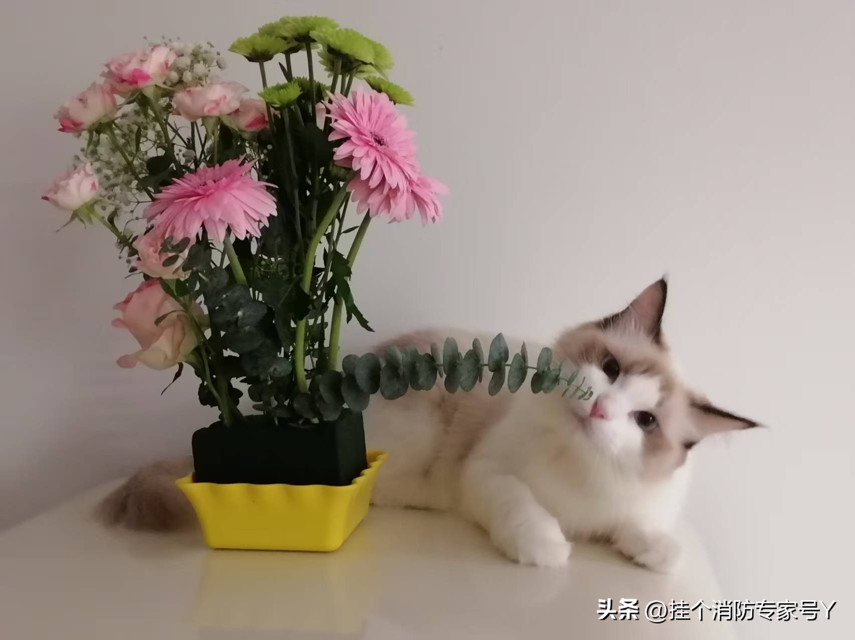 消防验收乱象:技术服务机构违规被罚,法律依据存疑