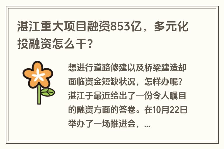 湛江重大项目融资853亿，多元化投融资怎么干？