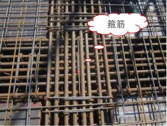 钢筋加工与绑扎施工标准流程，提升主体结构质量