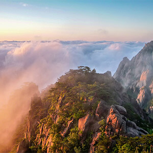 物业移交时，小区没资质的新物业归哪个部门管