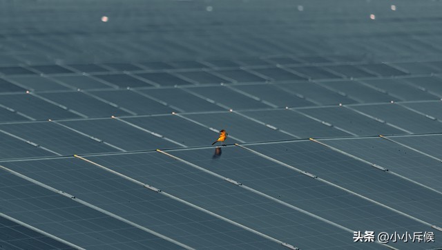 全球碳中和加速，绿色能源四大核心技术引领能源转型变革