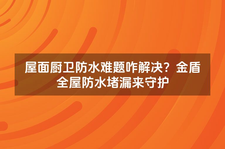 屋面厨卫防水难题咋解决?金盾全屋防水堵漏来守护 屋面厨卫防水难题咋解决?金盾全屋防水堵漏来守护