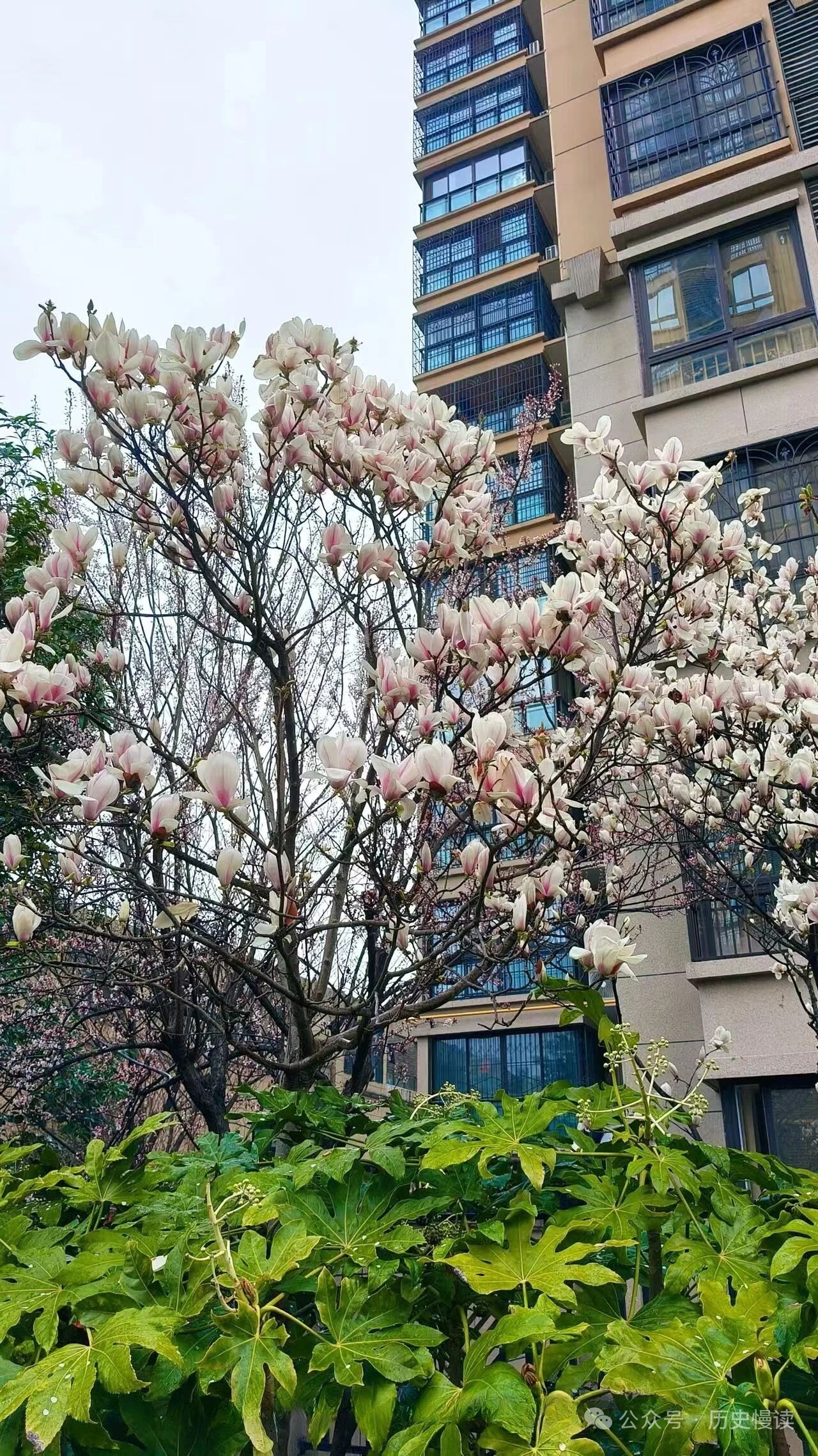 混凝土浇筑全过程质量控制要点,从开盘到拆模都在这了