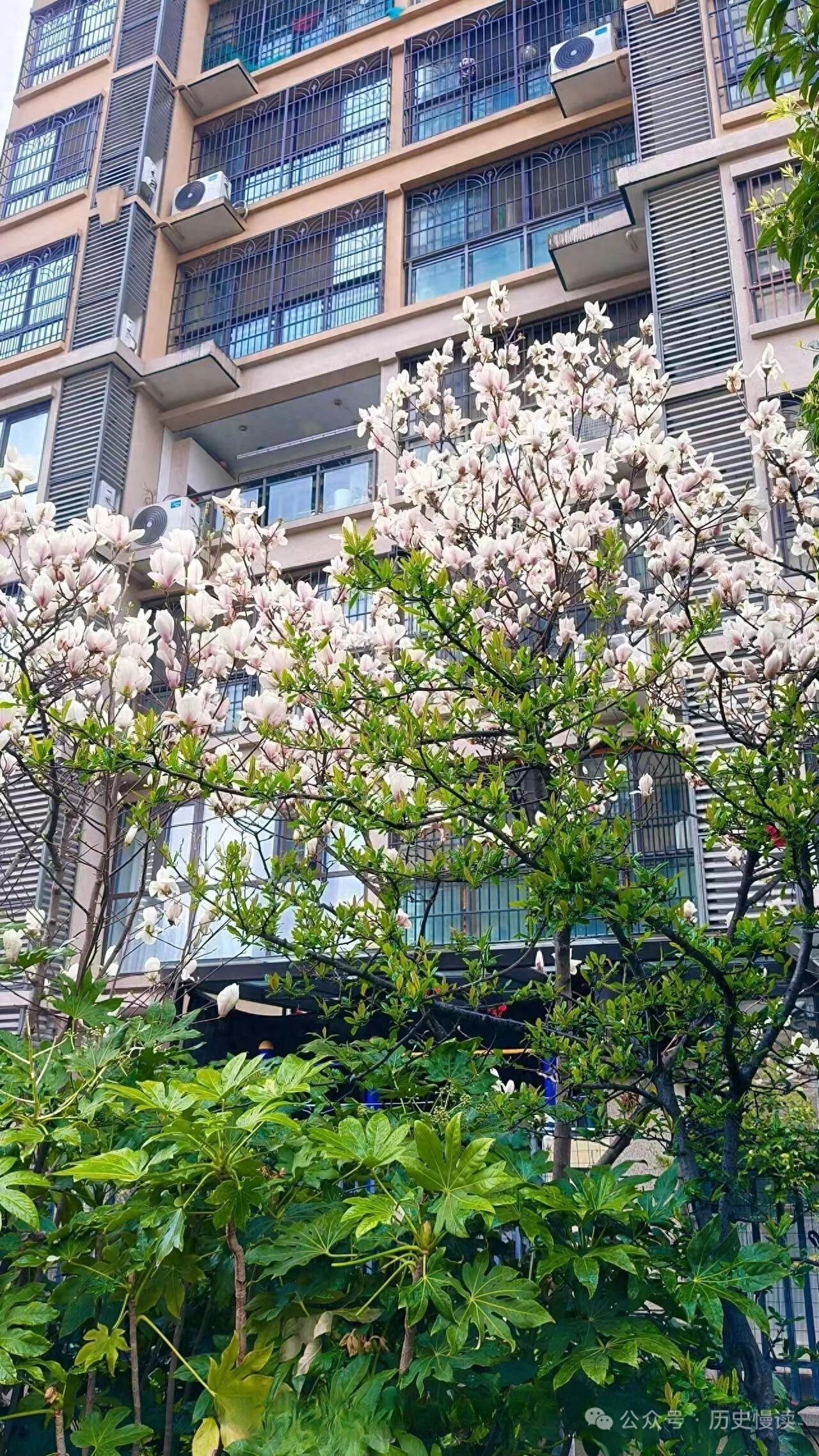 混凝土浇筑全过程质量控制要点,从开盘到拆模都在这了