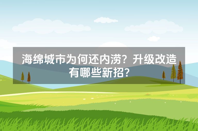 海绵城市为何还内涝？升级改造有哪些新招？