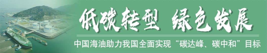 碳达峰什么意思？一文讲透定义与目标，告别似懂非懂